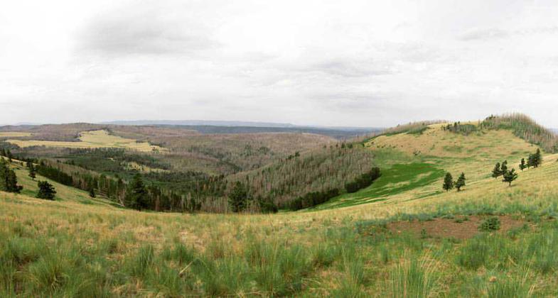 Escudilla Mountain, Apache-Sitgreaves National Forest. Photo by Chris Morris.
