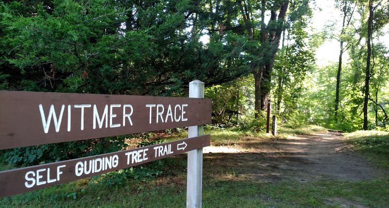 Witmer Trace Self Guiding Tree Trail. Photo by Ronda DeCaire.