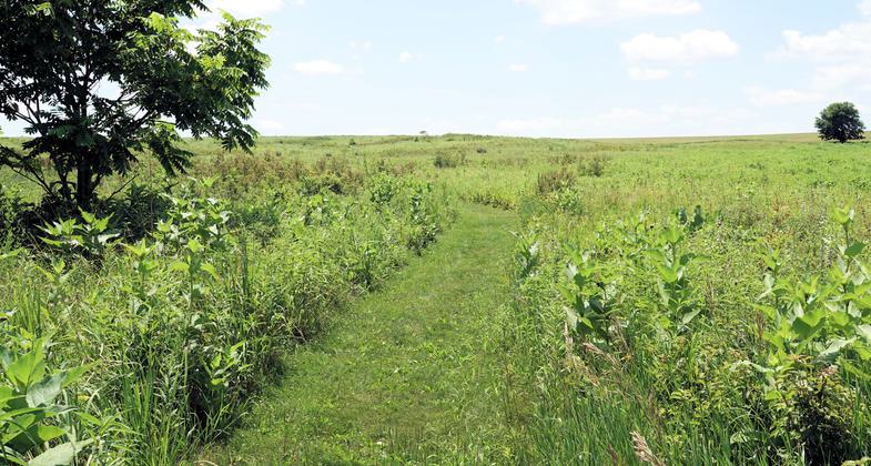 Herbert Hoover Prairie Trail - 7-10-18. Photo by Jim Walla.
