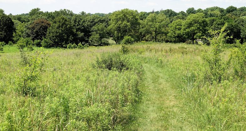 Herbert Hoover Prairie Trail - 7-10-18. Photo by Jim Walla.