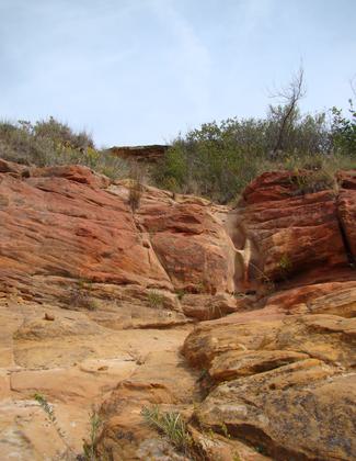 Photo by Wendy Bowles.