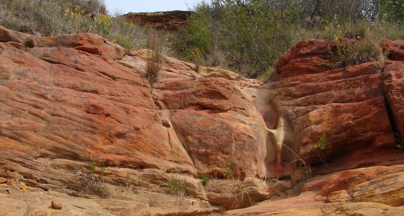 Photo by Wendy Bowles.