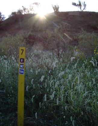 Photo by Wendy L. Bowles.