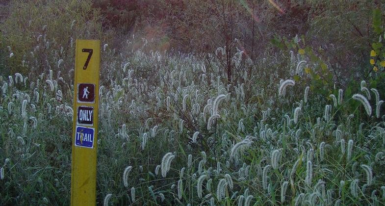 Photo by Wendy L. Bowles.