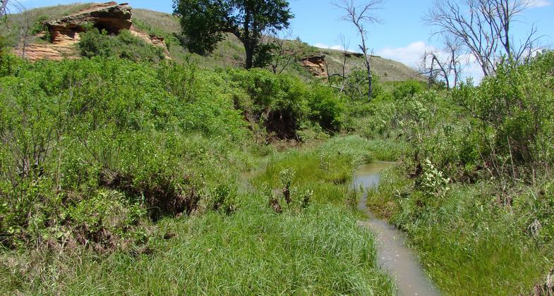 Photo by Wendy Bowles.