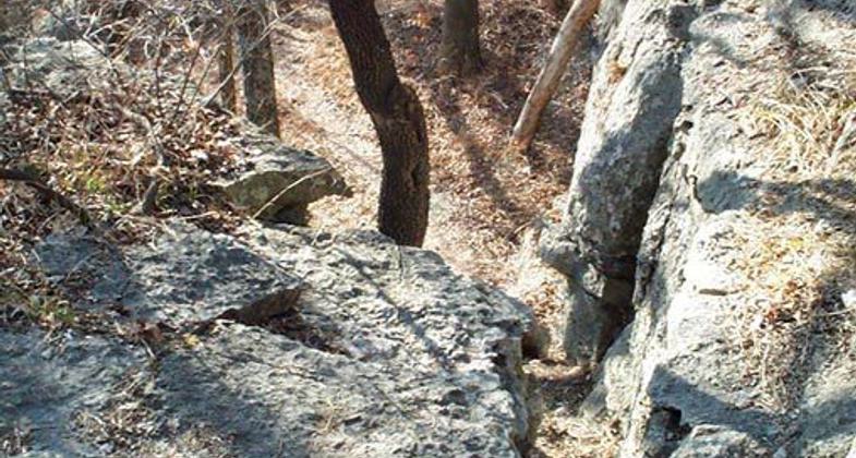 May 2020. Photo by Megan DeVries.