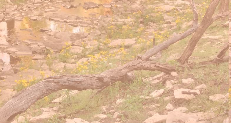 Map. Photo by Megan DeVries.