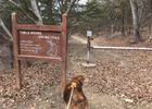 Fritz ready to explore the trail. Photo by Mindy Pribbernow Eaton.