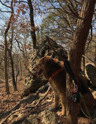 Trail watch. Photo by Mindy Pribbernow Eaton.