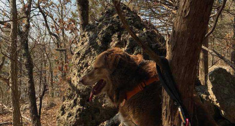 Students from the city on their first hike!. Photo by Mindy Pribbernow Eaton.