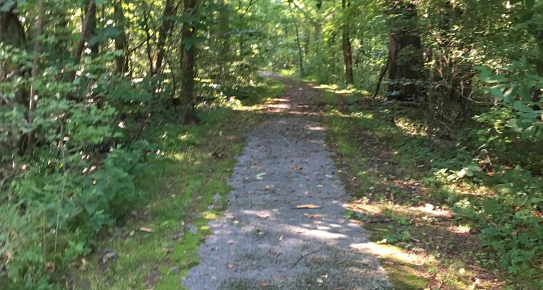 Long Creek Trail provides access to a wetlands area along the creek. Photo by Donna Kridelbaugh.