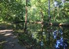 Long Creek Trail provides access to a wetlands area along the creek. Photo by Donna Kridelbaugh.