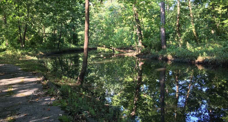 Long Creek Trail provides access to a wetlands area along the creek. Photo by Donna Kridelbaugh.