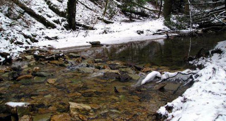 The rock ford where the Buck Trail crosses Chimney Top Creek in the Red River Gorge National Recreation Trail system.