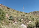 Semidesert grassland, Coronado National Memorial. Photo by Semidesert3.