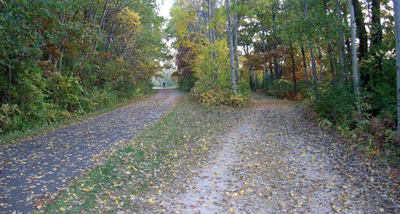 A section of the Gateway State Trail with parallel paved and unpaved trackways. Photo by Akkrenkel.