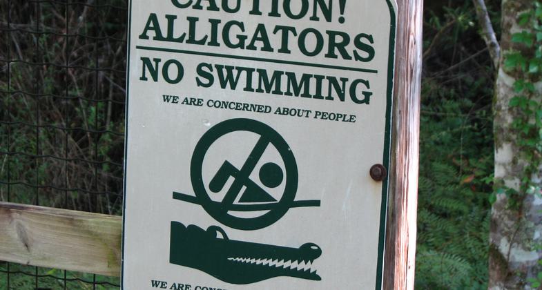 No swimming! Photo by Steve Muller.