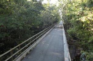 General James A. Van Fleet State Trail