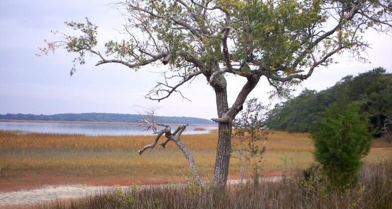 Photo by Katie Crawford.