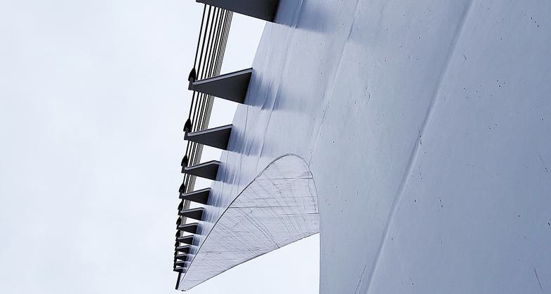 Contrast in colors. Photo by Sue Crowe.