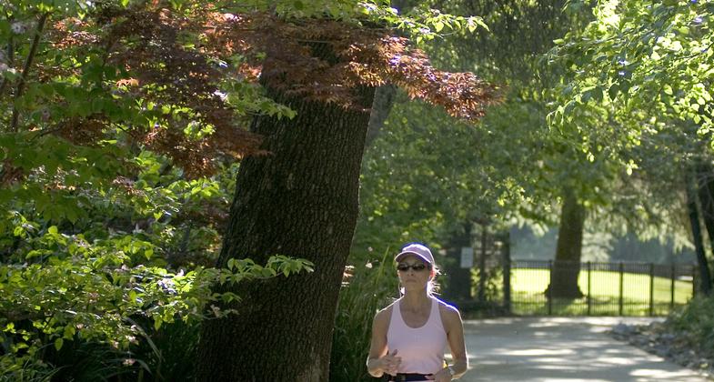 Middle Creek Tail - Summer 2017. Photo by Mike Wiseman.