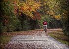 A bicyclist on a beautiful autumn day. Photo by Clara Williams.