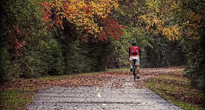 A bicyclist on a beautiful autumn day. Photo by Clara Williams.