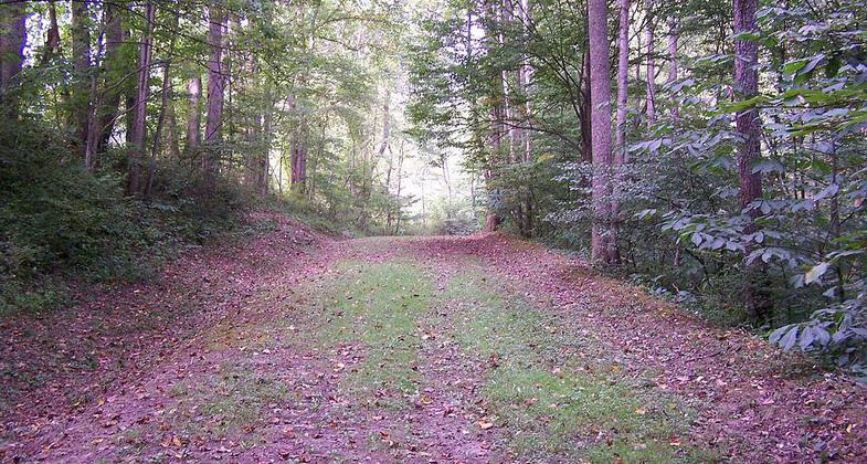 Weston and Gauley Bridge Turnpike. Photo by Brian M. Powell.