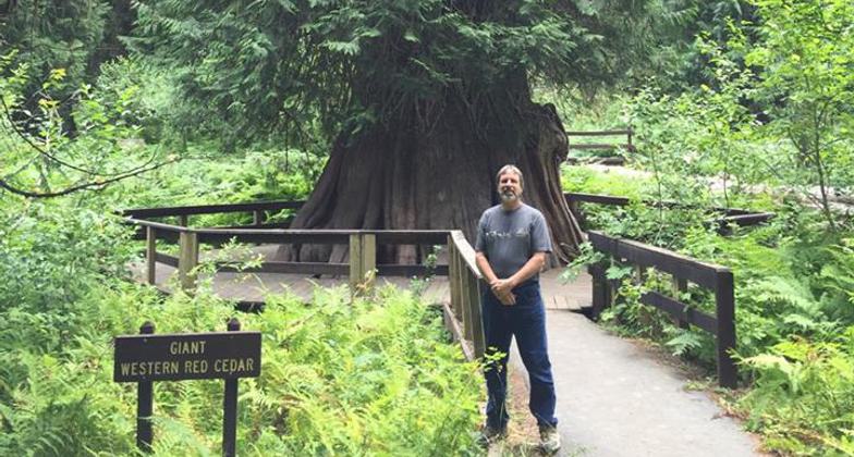 The Champion Tree of Idaho. Photo by USFS.