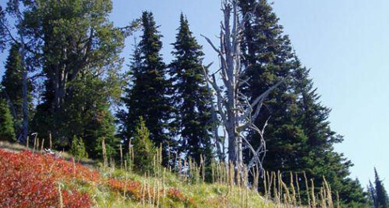 photographer: Lisa Therrell.