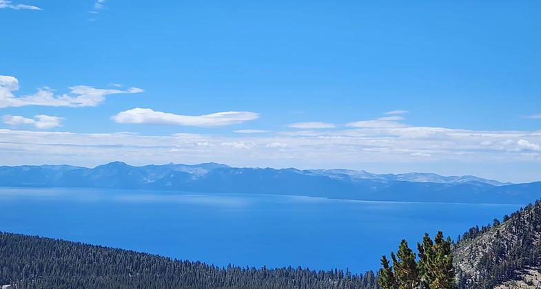 Tahoe Rim Trail. Photo by Susan Murdoch.