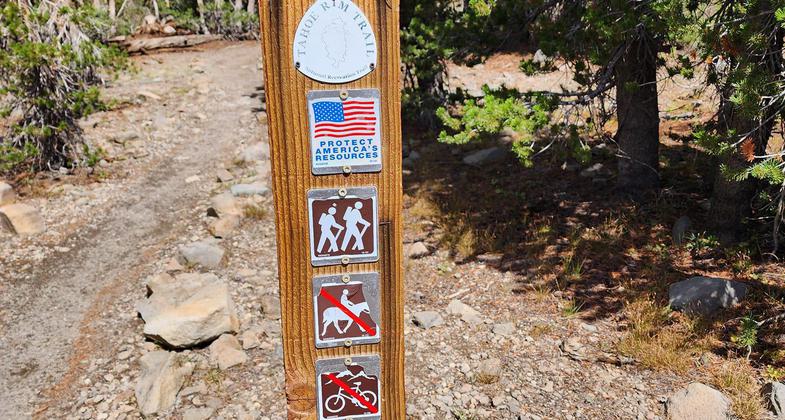 View of Lake Tahoe from Tahoe Rim Trail. Photo by Susan Murdoch.