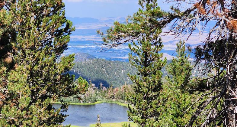 Winner 2022 NRT Photo Contest, Trail Work. Photo by Tahoe Rim Trail Association.