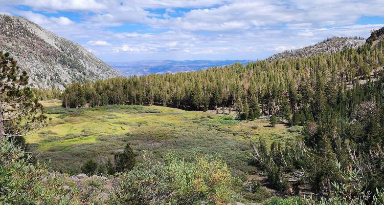 View from Tahoe Rim Trail. Photo by Susan Murdoch.