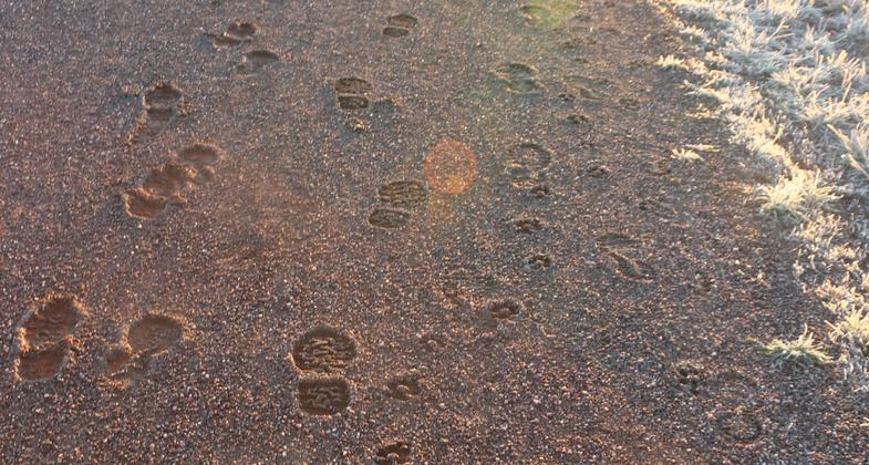 "Over the Creek" Artist Andrew Davis hangs over the water to paint his mural. Photo by Hans T. Reichgelt.