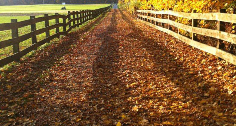 Gorgeous morning for a bike ride on the Cattail Trail. Photo by Jane Yatcilla.