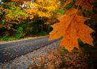 Fiery fall colors make their debut on the Monon Greenway. Photo by Jonathan Hill.