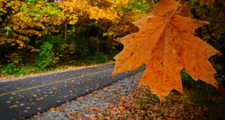 Fiery fall colors make their debut on the Monon Greenway. Photo by Jonathan Hill.