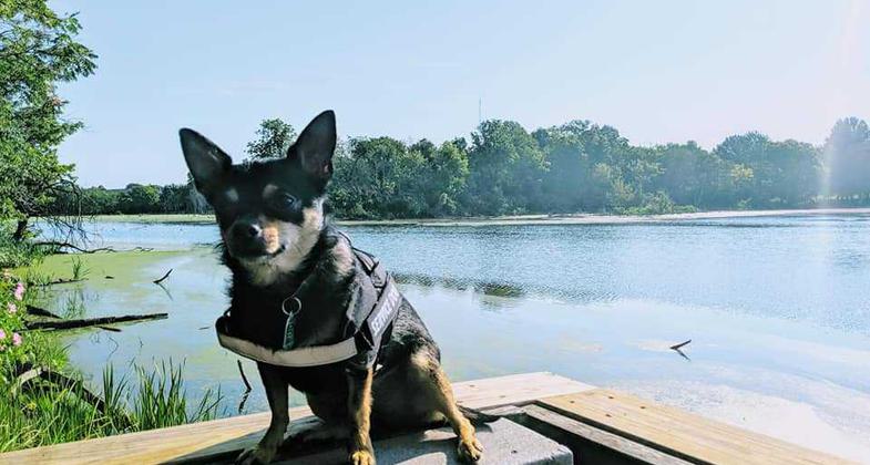 Barron enjoying a day at the nature area. Photo by Travis Bakeman.
