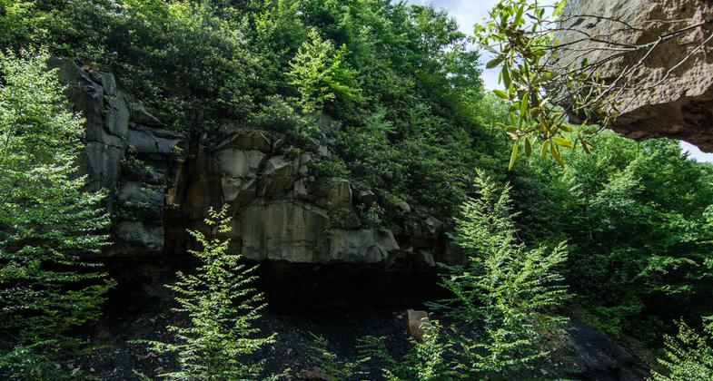 Participants of the 50K Ghost Town Trail Challenge leap for joy after completing 13 miles of the 32 mile run/hike challenge. Photo by Lance Harshbarger.
