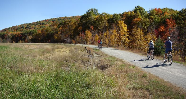 Surface Reclamation. A mine dump formerly occupied this area. Photo by Mary Shaw.