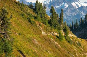 Pacific Northwest Trail - Olympic National Park Segment