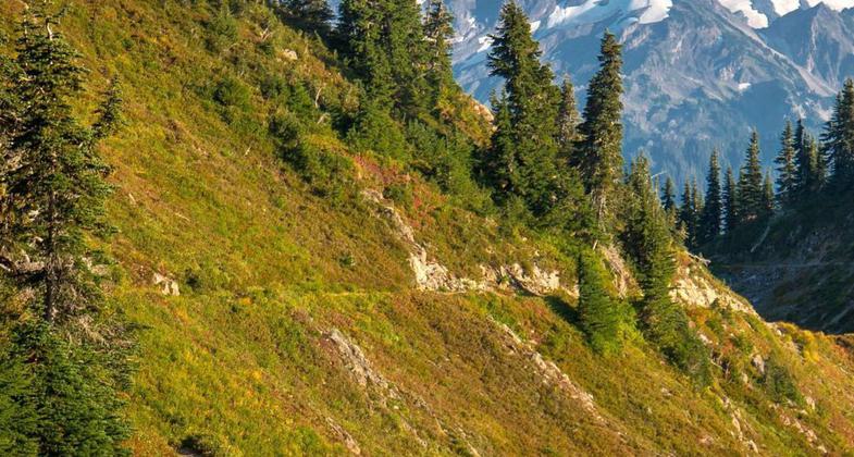 Mt. Olympus from the PNT. Photo Courtesy of https://www.pnt.org/. Photo by Jeff Kish.