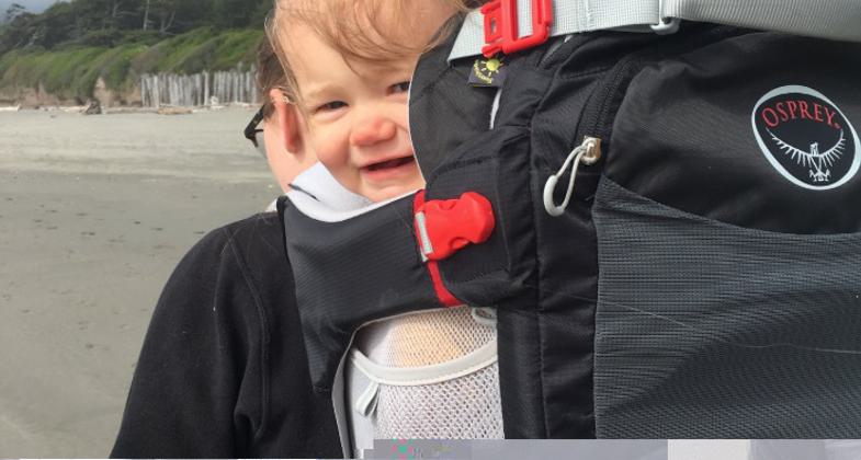Pacific Northwest Trail in Olympic National Park, View from the east side of Hayden Pass down the Dosewallips valley.