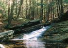 Buffum Falls on the Trail, in the Pelham Hills. photo by John Kowaleski.
