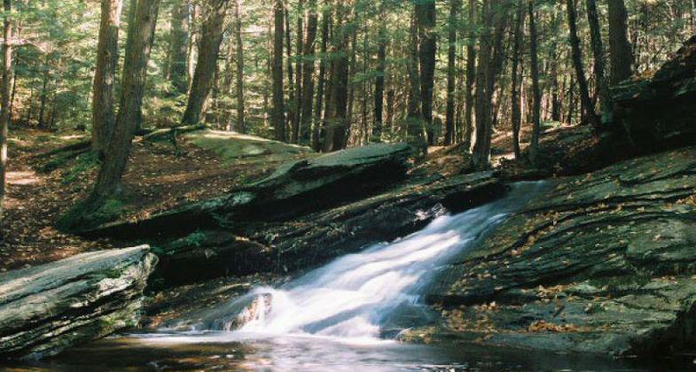 Buffum Falls on the Trail, in the Pelham Hills. photo by John Kowaleski.