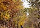 Trail in autumn. Photo by Mary Shaw.
