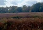 Admiring the Fall foliage out over the wetland area behind KCH. Photo by Audrey Montague.