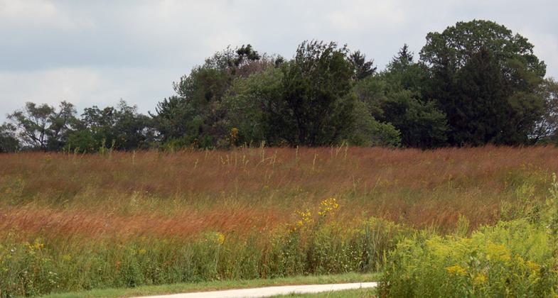 A stretch of the trail.