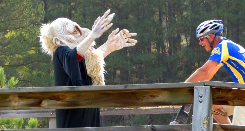 Trolls aren't just for fairy tales! A bridge Troll is helping to raise money for resurfacing. Photo by Brooke Smith.